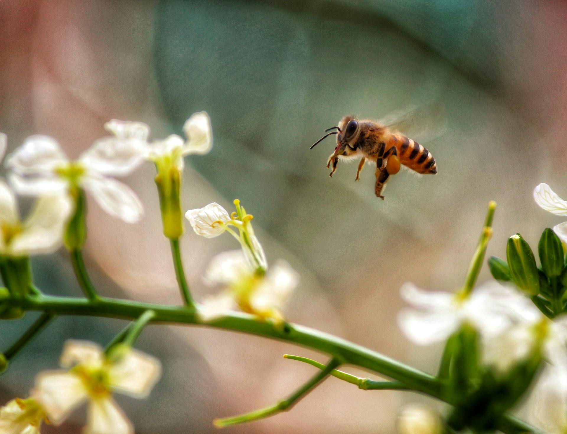 Product Launch - Creating the Buzz